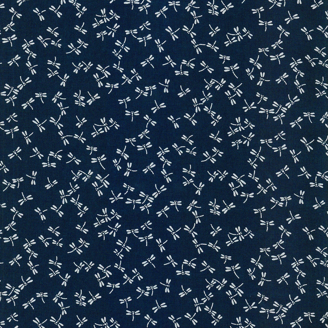 Westfalen Libellen blau