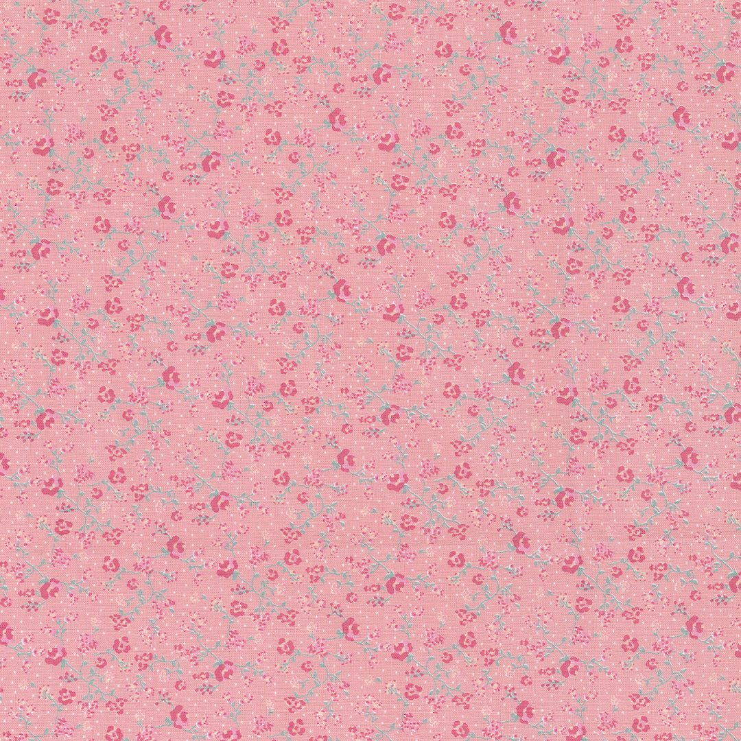 Westfalen Prinzessin rosé-bunt