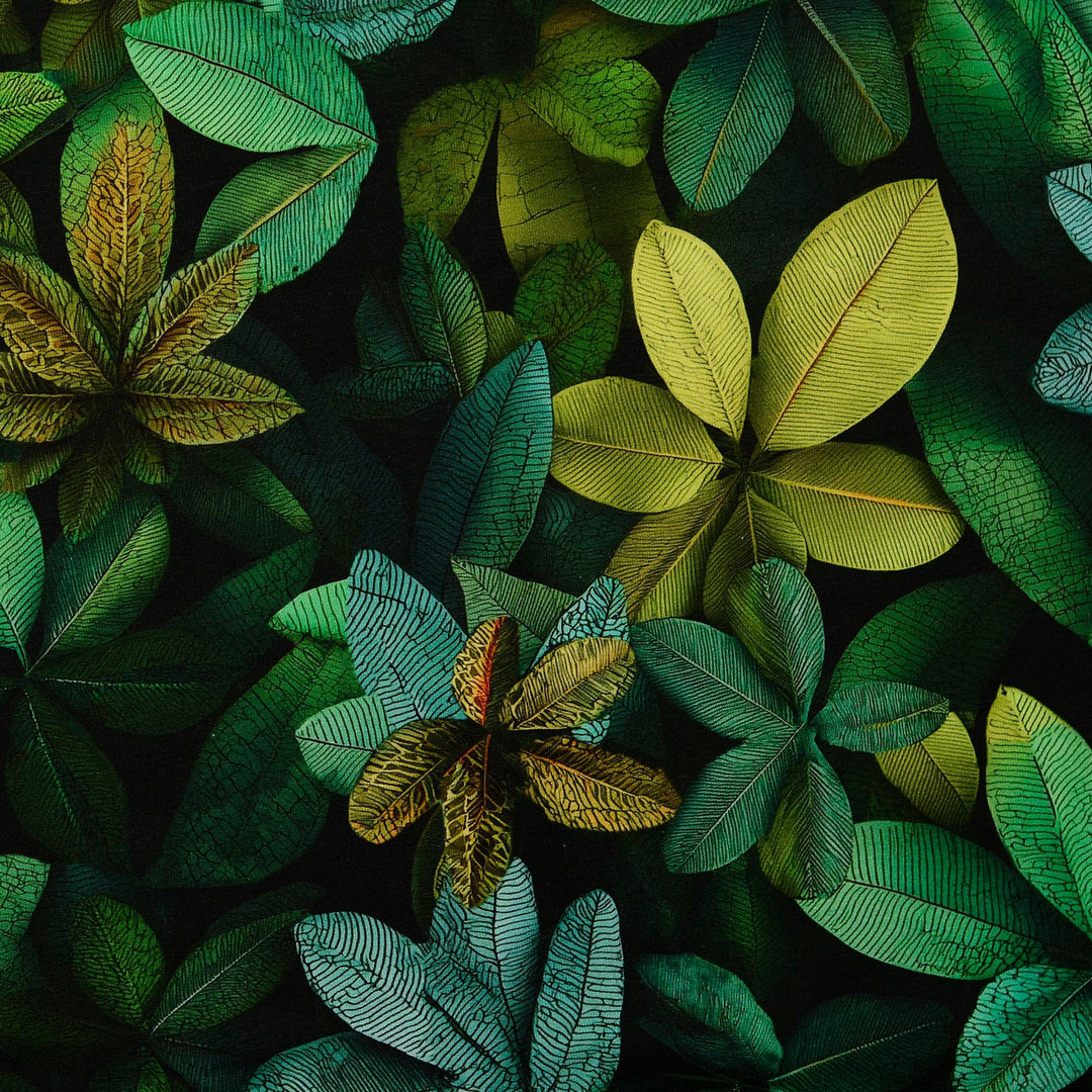 French Terry - Ficus