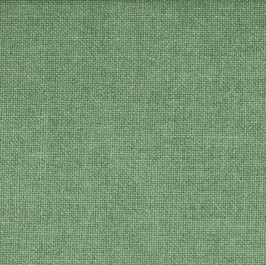 Coated Cotton - Luisa Col.265