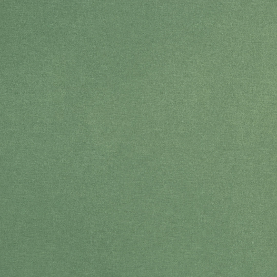 Coated Cotton - Luisa Col.265
