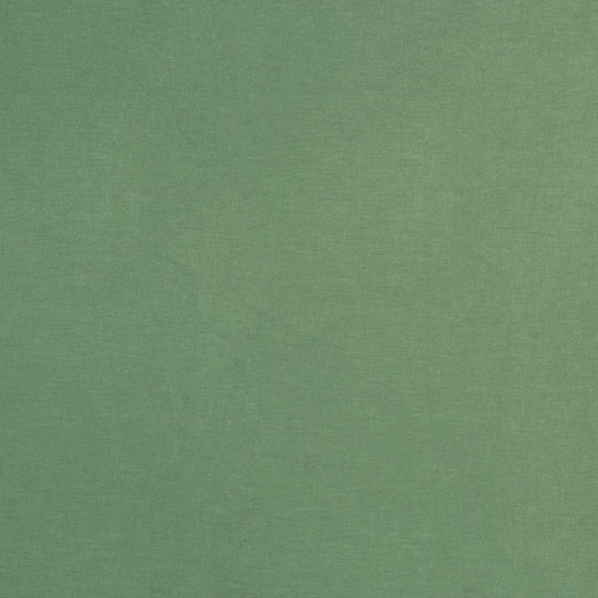 Coated Cotton - Luisa Col.265