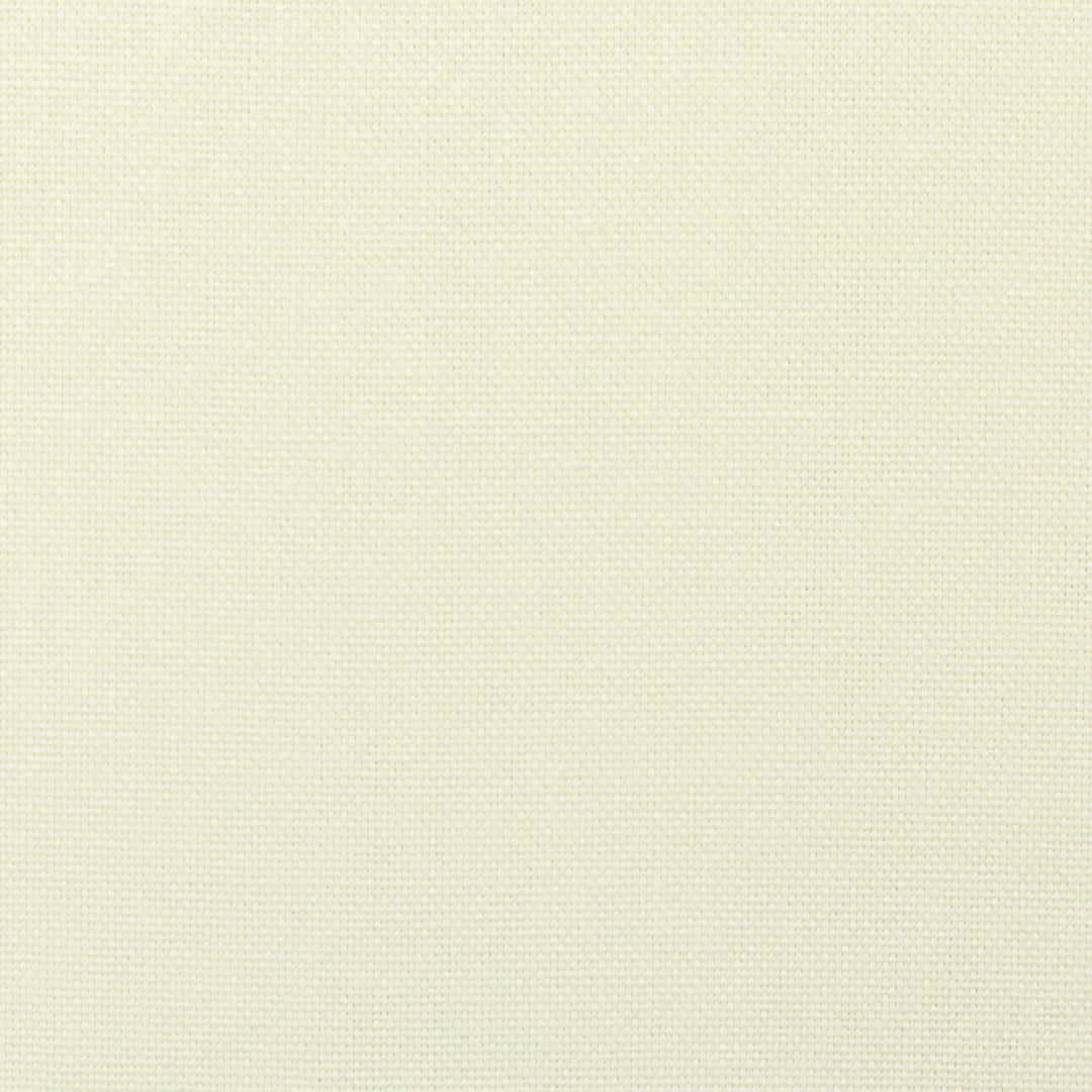 Canvas - Calvin Col.010