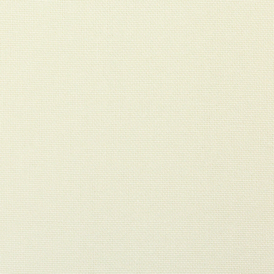 Canvas - Calvin Col.010