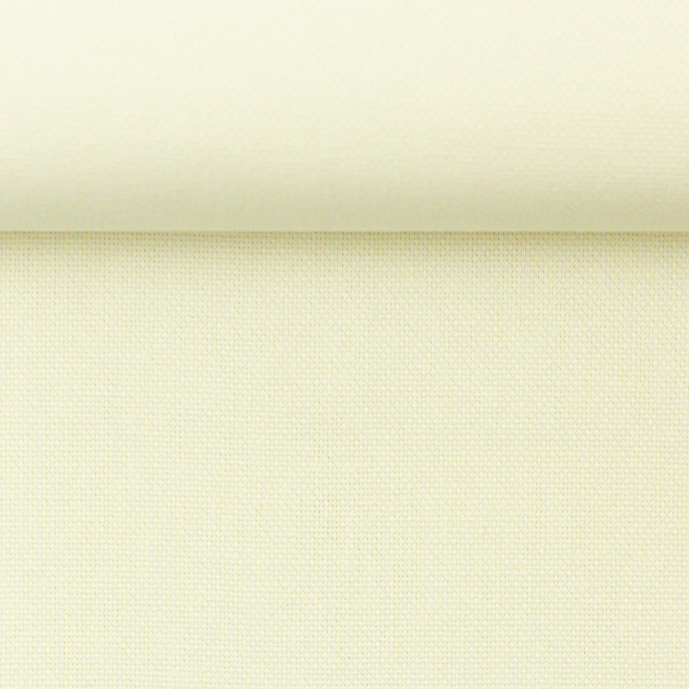 Canvas - Calvin Col.010