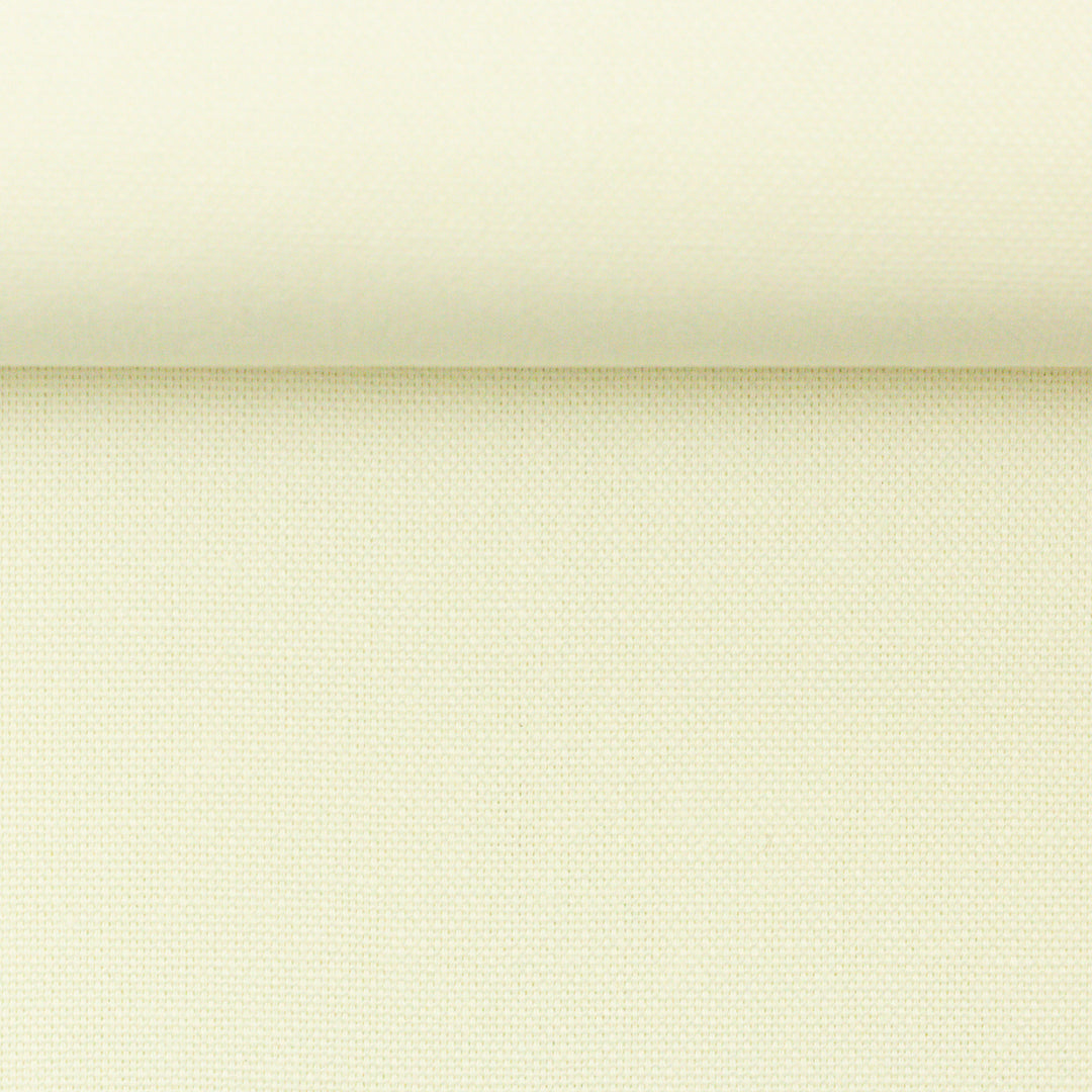 Canvas - Calvin Col.010