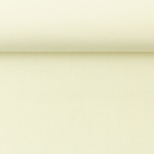 Canvas - Calvin Col.010