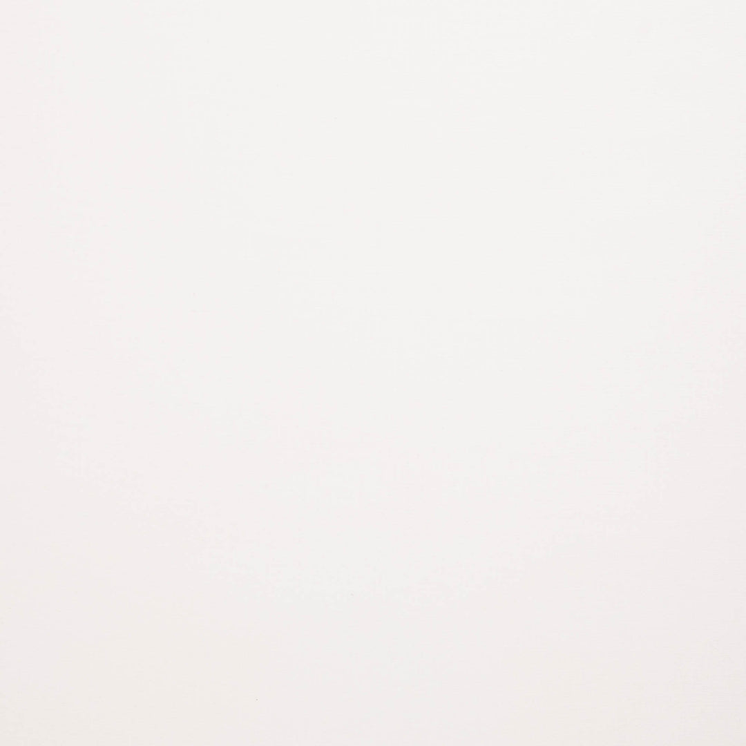 Canvas - Calvin Col.011