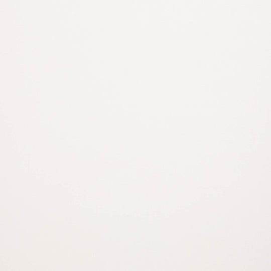 Canvas - Calvin Col.011