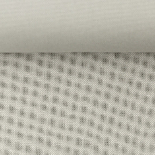 Canvas - Calvin Col.673