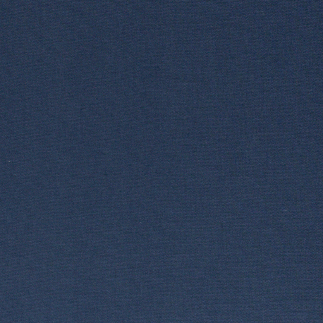 Canvas - Calvin Col. 597