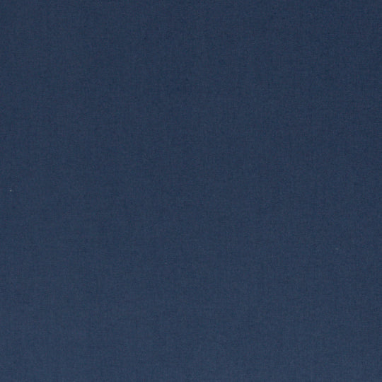 Canvas - Calvin Col. 597