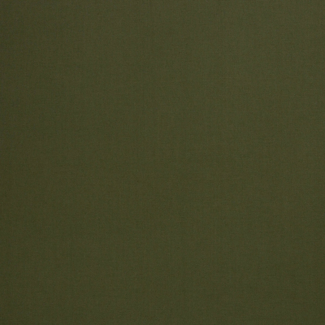 Canvas - Calvin Col.768
