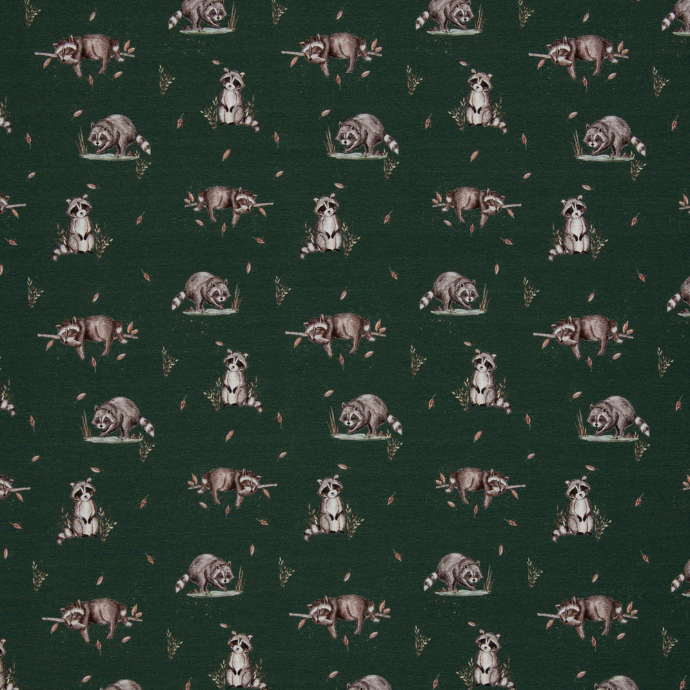 Jersey - Waschbär
