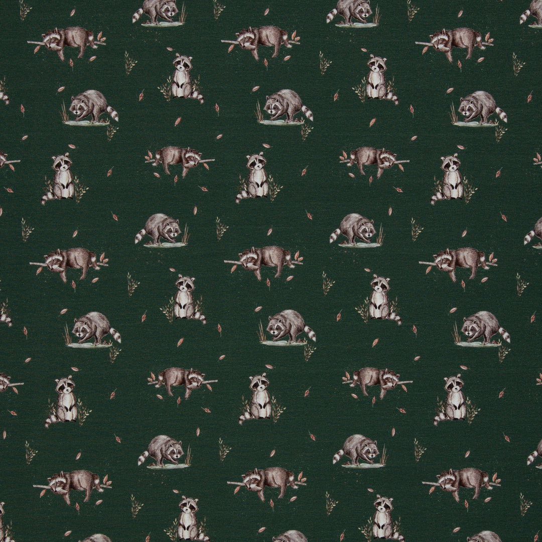 Jersey - Waschbär