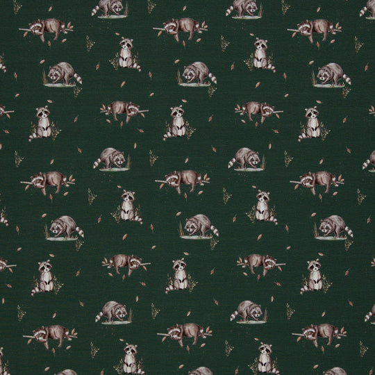 Jersey - Waschbär