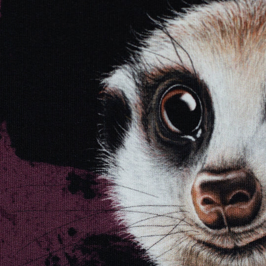 Jersey - Panel Stay Curious