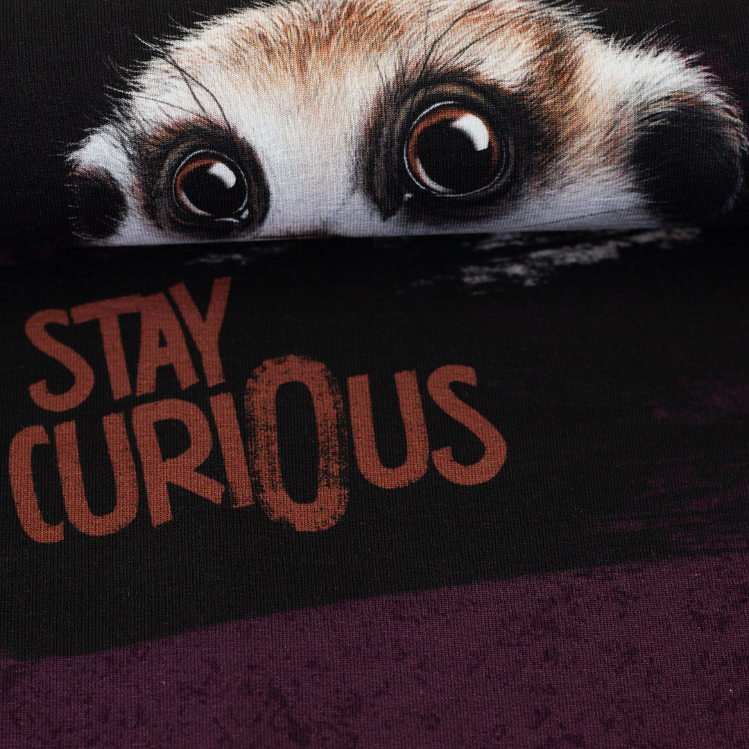 Jersey - Panel Stay Curious