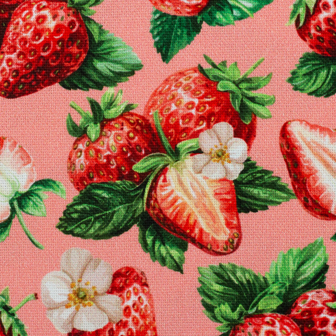 Canvas - Strawberry dream