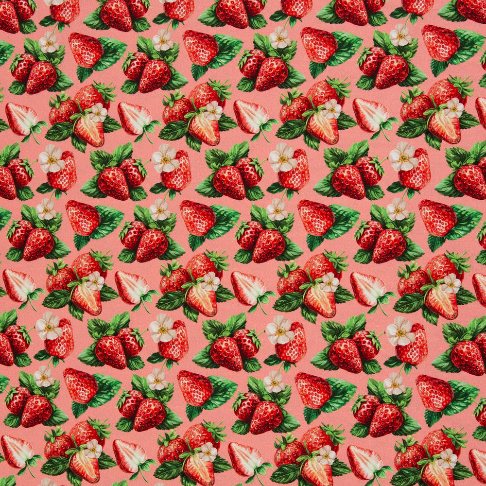 Canvas - Strawberry dream