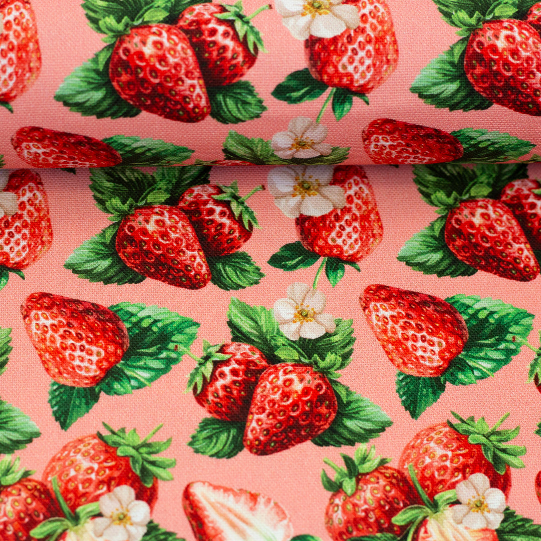 Canvas - Strawberry dream