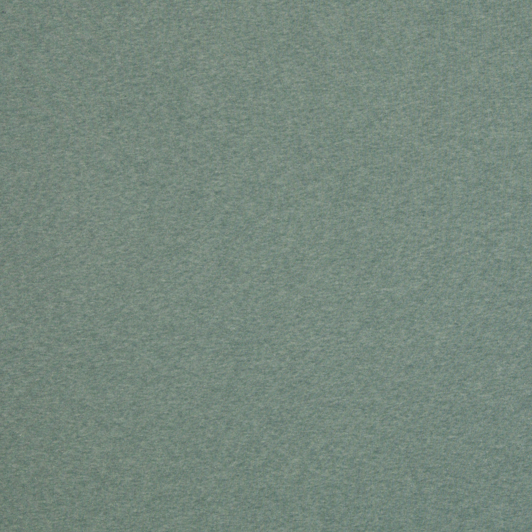Heavy Sweat Col.1742 (Salbei)