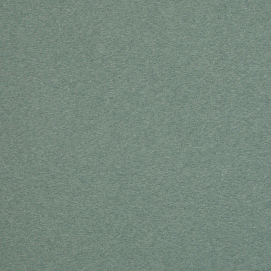 Heavy Sweat Col.1742 (Salbei)
