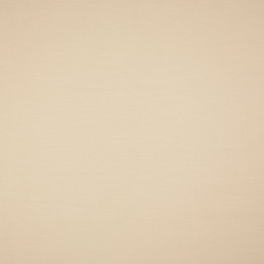 Baumwolljersey Uni Col.4005 (Beige)