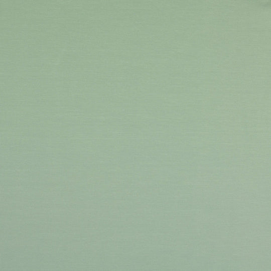 Baumwolljersey Uni Col.6037 (Salbeigrün)