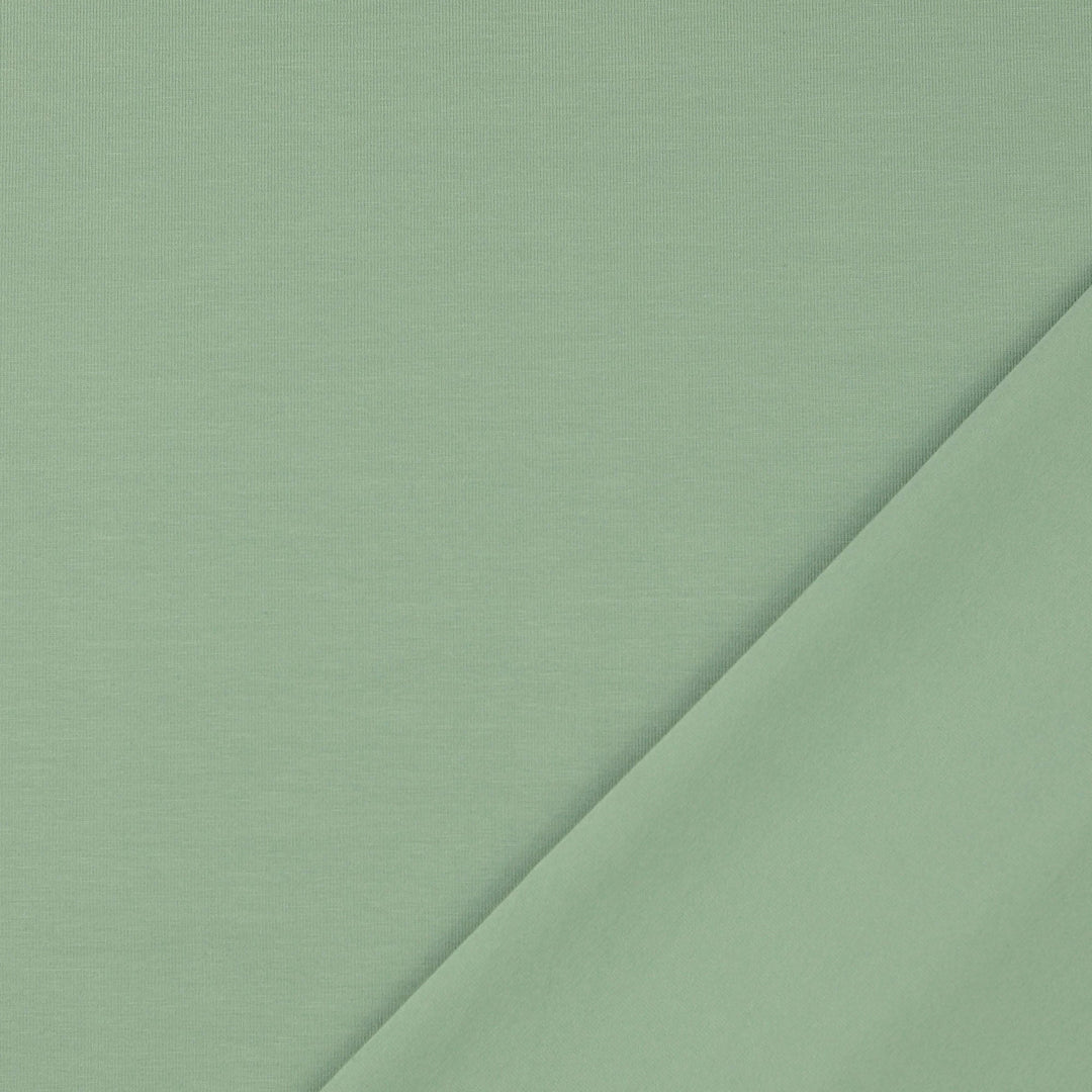 Baumwolljersey Uni Col.6037 (Salbeigrün)