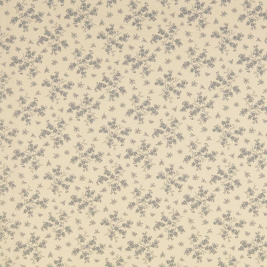 Baumolle - Emilian