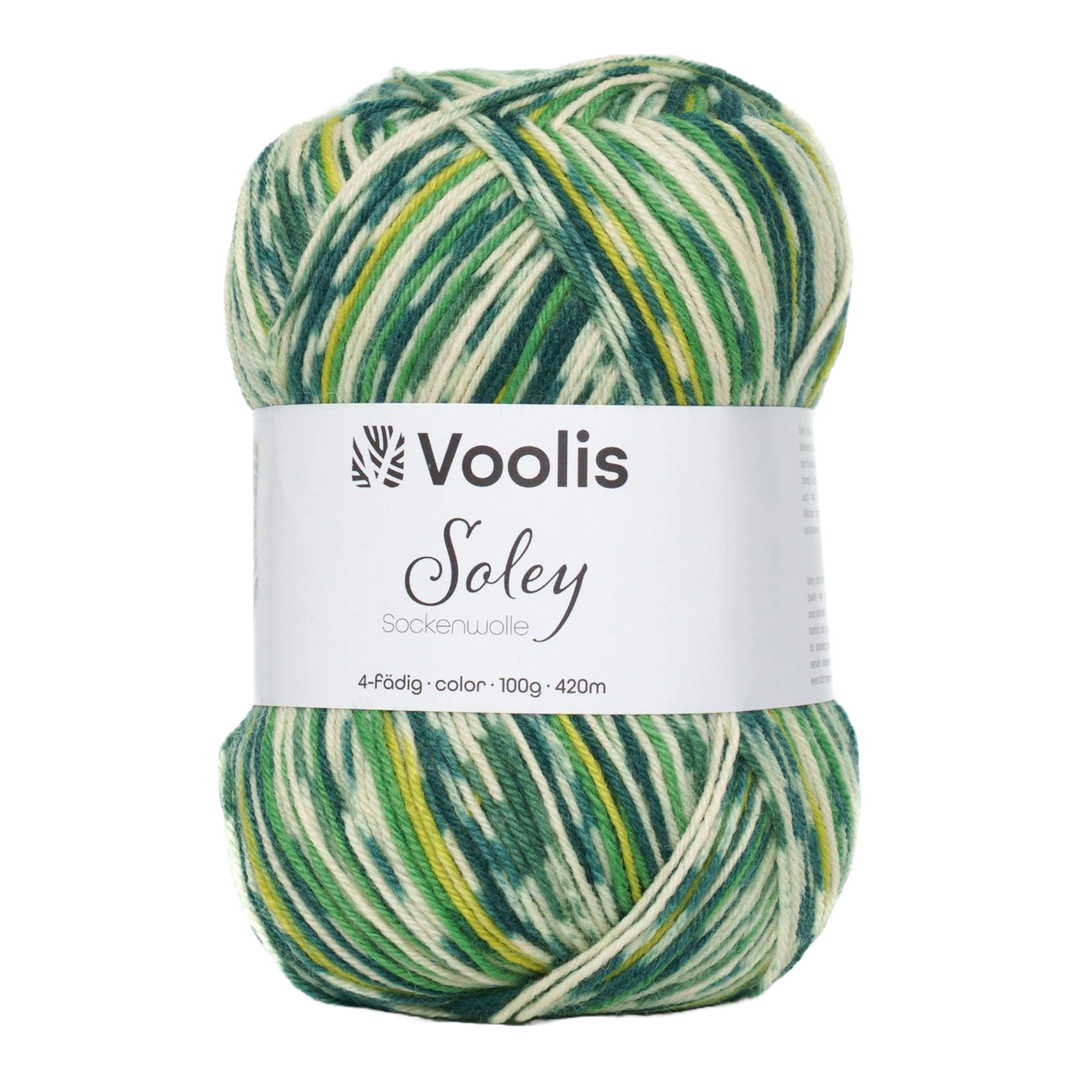 Voolis Sockenwolle 4-fädig Color 100g