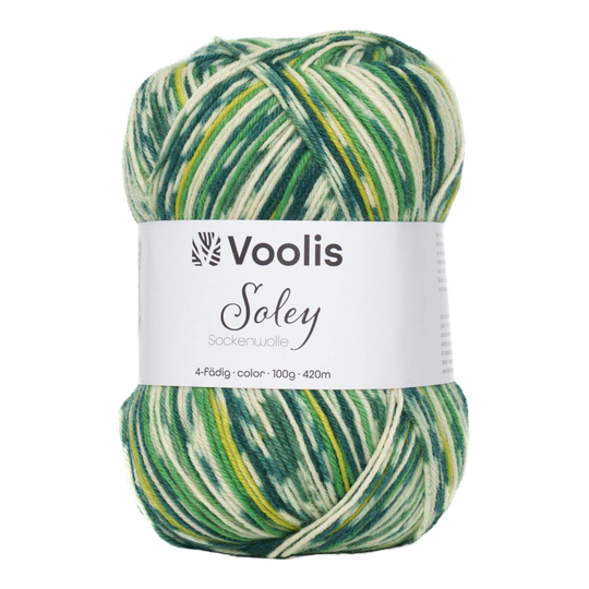Voolis Sockenwolle 4-fädig Color 100g