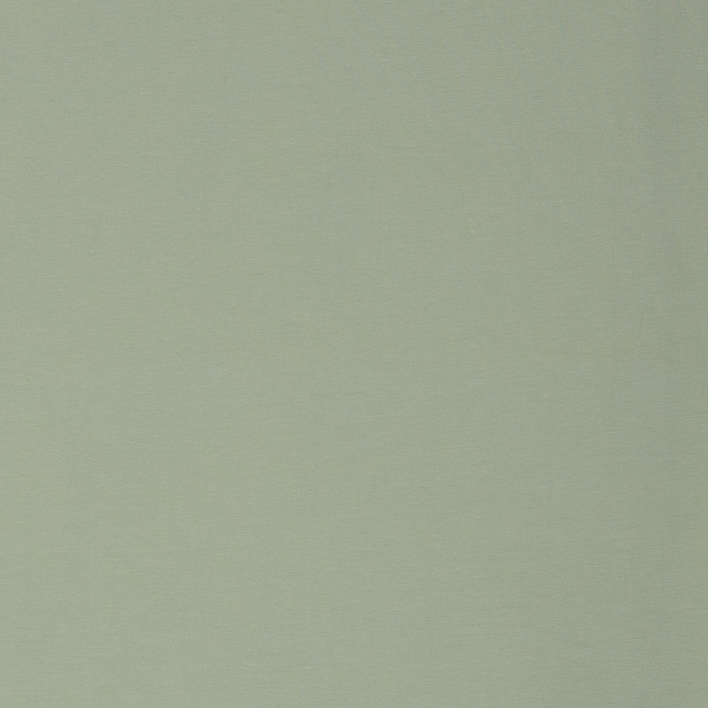 Single Jersey Col. 16-0110