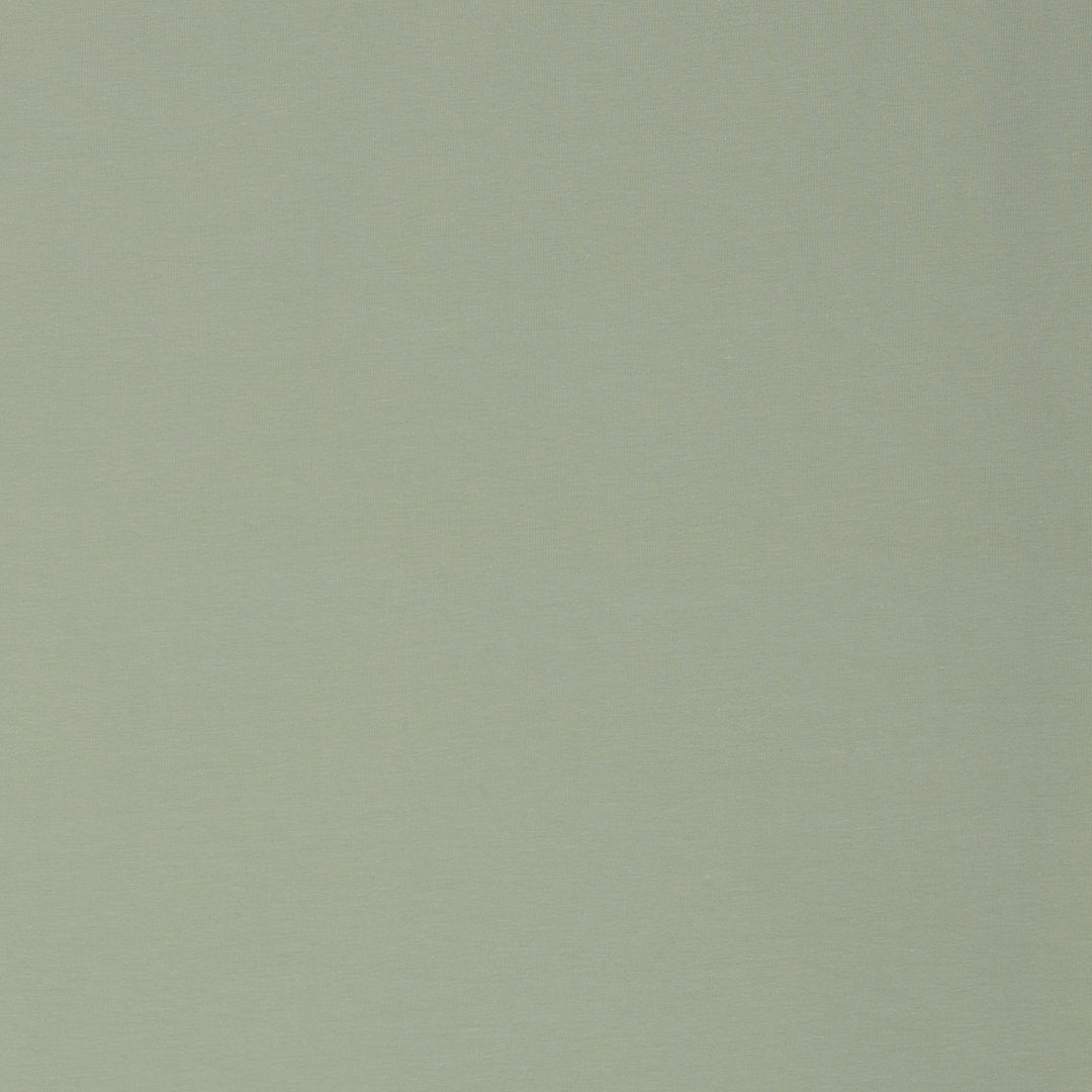 Single Jersey Col. 16-0110