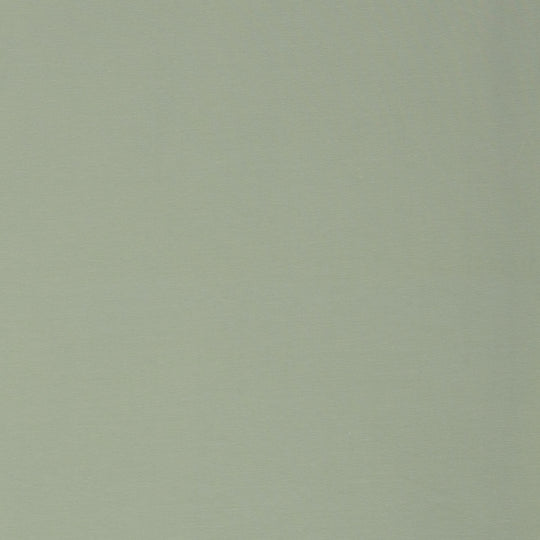 Single Jersey Col. 16-0110