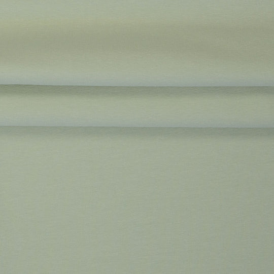 Single Jersey Col. 16-0110