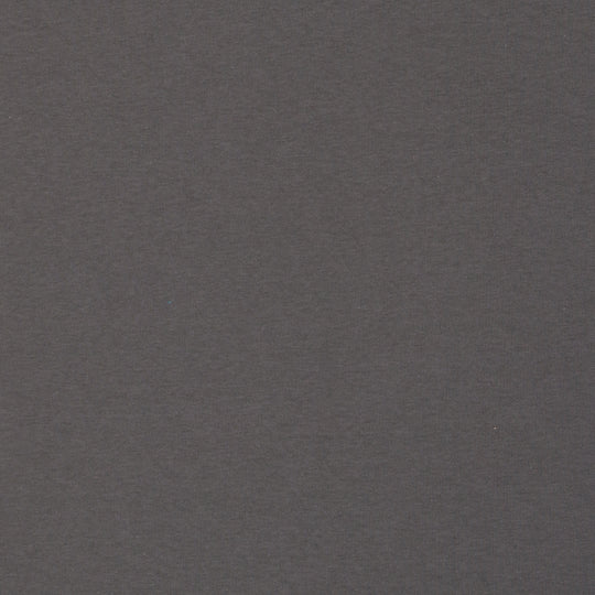 Heavy Sweat Col.0403