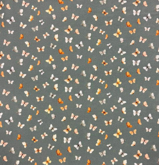 Dear Stella - FLUTTER