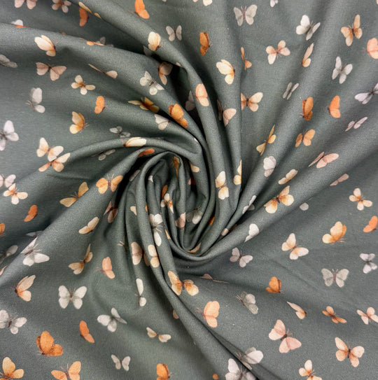 Dear Stella - FLUTTER