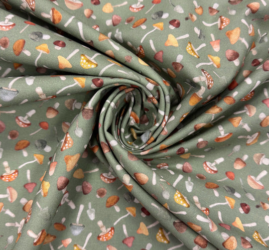 Dear Stella - FUNGI HEDGE