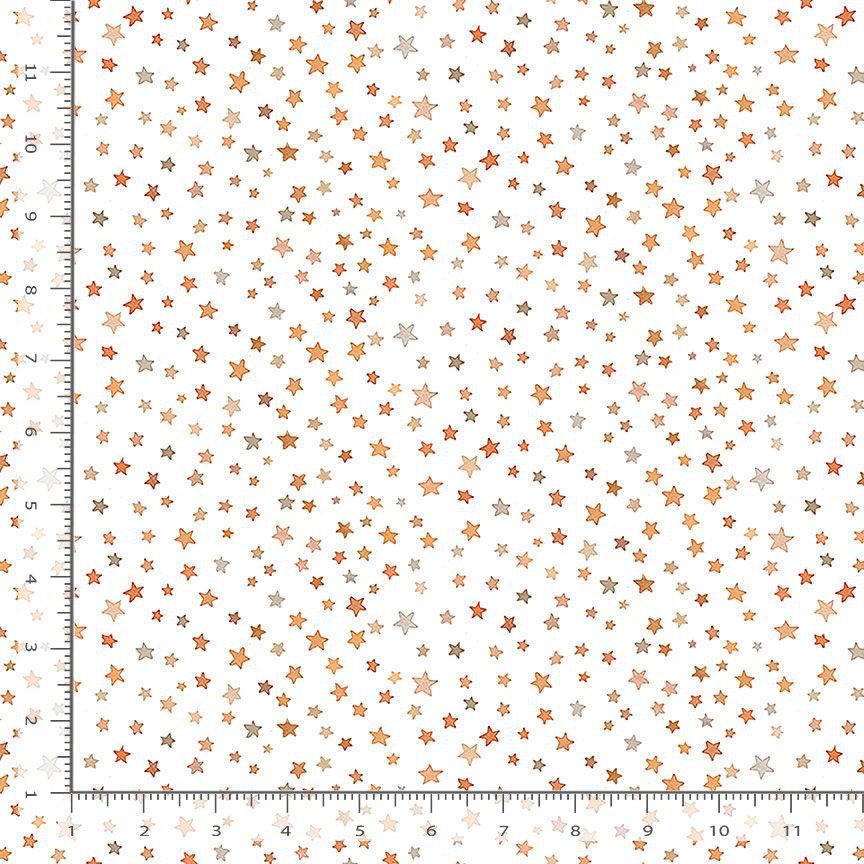 Dear Stella - STARRY NIGHT