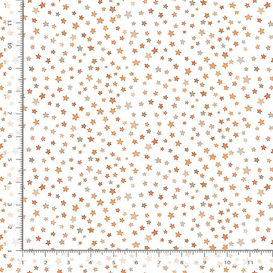 Dear Stella - STARRY NIGHT