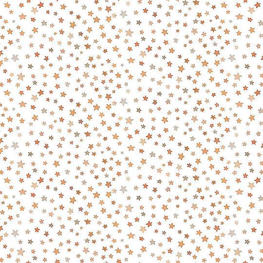 Dear Stella - STARRY NIGHT