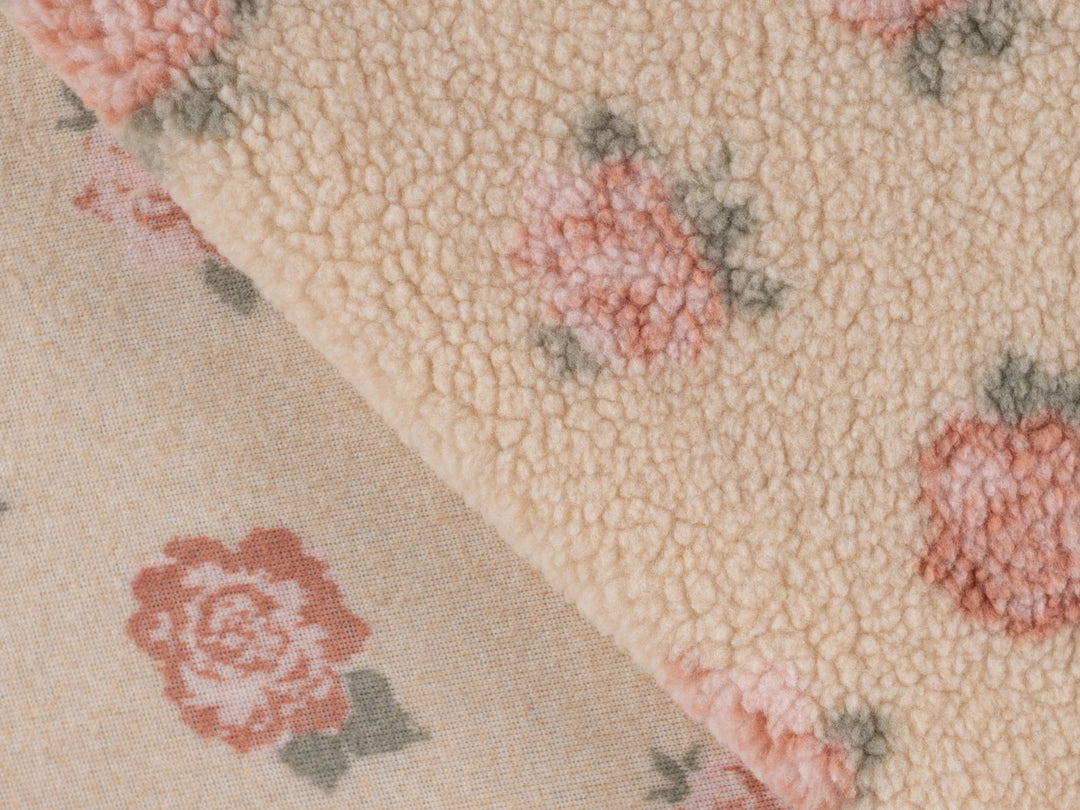 Teddy - Rose