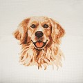 Kreuzstich-Set Golden Retriever "Trimits"
